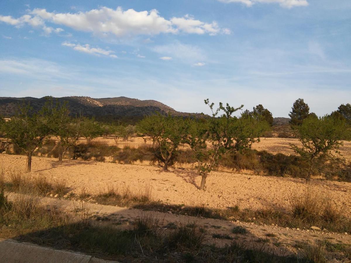 Casa Rural El Carmen De La Sierra Екла Экстерьер фото