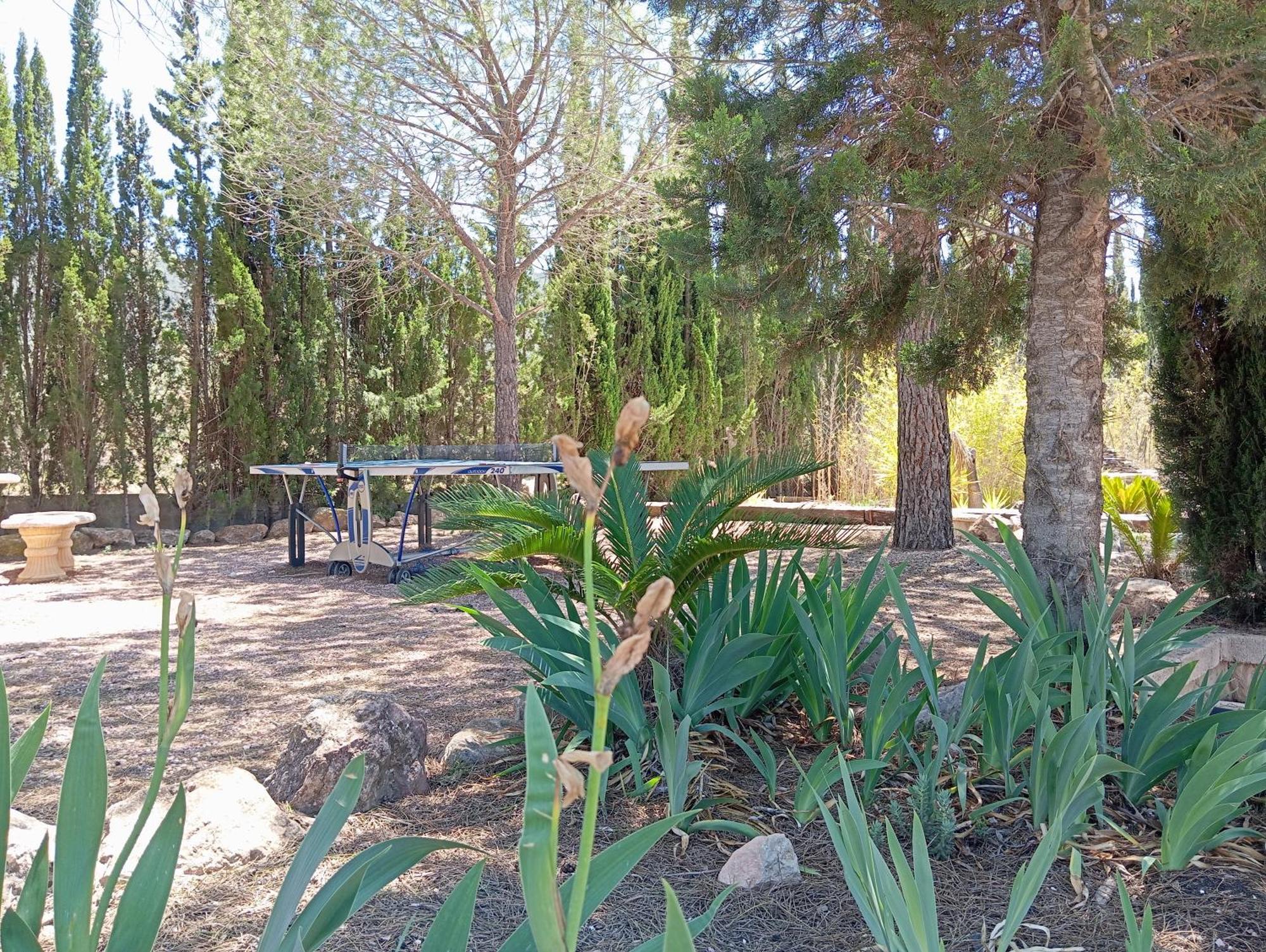 Casa Rural El Carmen De La Sierra Екла Экстерьер фото